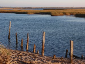 Marsh and lighthouse, Provincetown, Mass.