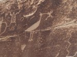 Petroglyph, Petrified National Forest, Arizona.