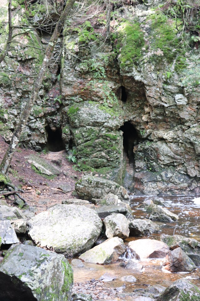 Bear's Den