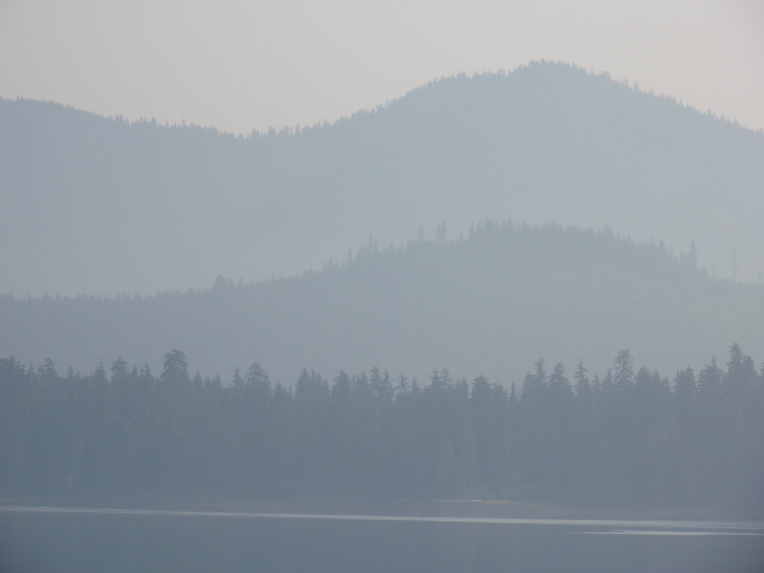 Photograph of foggy tree-covered hills layered in front of each other with water in the foreground