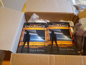 Opened cardboard box showing two copies of a book, Endurance, with the silhouette of a woman in front of a window showing Saturn and bright rings. Author line is Elaine Burnes