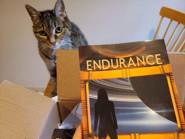 Gray cat behind a cardboard box with a book, titled Endurance, held in the foreground